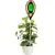 Soil parameter meter GrowGrow