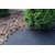 Agrofibre black 60g/m2 1.6x100 m