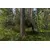 Camouflage tarpaulin Bradas CAMOforest PLCF902/3 2x3 м 90 г/м²