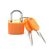 Padlock Soller 113-074 23 mm
