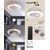 Chandelier ceiling fan Rabalux Dalfon 6710 LED 36W