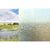 Static window film Delfa S4526 45x150 cm