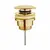 ხელსაბნის სიფონი  Tycner Click-Clack Gold