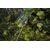 Military tarpaulin Bradas CAMOforest 4x6m 90g/m²