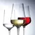 ჭიქა თეთრი ღვინის Schott Zwiesel 21,7სმ 370მლ FINE 65249