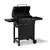 Gas grill Landmann 07784
