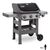 გრილი გაზის Weber Spirit II E-320