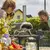 Pizza oven charcoal Ooni Karu 12 Multi-Fuel