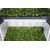 Tent for plants Garden HighPro Probox Propagator L 60x40x200 cm