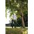 Trimmer cordless Ryobi OLT1833 18V