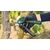 სეკატორი აკუმულატორის Bosch Easy Prune 3.6V