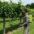 Sprayer Martino Garden 15 Nyplen G3020/SBL