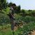 Sprayer Martino Garden 15 Nyplen G3020/SBL