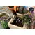 Garden fork FISKARS 137030