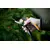 Secateur FISKARS 111610