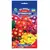 Seeds Phlox GL Seeds Drummond 0,2g