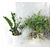 Static window film Delfa S4503 45x150 cm