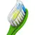 კბილის პასტა ფტორით  Colgate საბავშვო მარწყვი