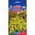 Seeds Marigolds GL Seeds Star Fire 0,15g