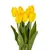 Flower decorative SH-10526