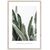 Picture in frame Styler Strelitzia BR005 50X70 cm
