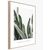 Picture in frame Styler Strelitzia BR005 50X70 cm