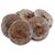 Peat tablet in grid (d 42mm, 10pcs)