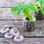 Peat tablet in grid (d 42mm, 10pcs)