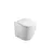 Toilet floor-standing Pate LB2979 Glossy white