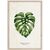 Картина в рамке Styler Monstera FP037 50x70 см