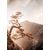 Glass picture Styler Brown tree GL367 50X70 cm