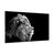 Картина на стекле Styler Lion GL104 70X100 см