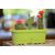 Flower pot Form-Plastic Cactus box Lotos 30 pistachio