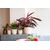 Flower pot Capi Europe Planter ball Groove sawdust 21,5x20cm