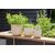 Flower pot Capi Europe Planter ball Groove sawdust 21,5x20cm