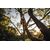 Secateurs Fiskars PowerGear L P961 26 mm