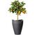 Flower pot plastic Scheurich SCHWARZ GRANIT 54/254 HOCHGEFAESS