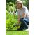 Hedgecutter cordless Ryobi OGS1822 18V