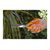 Ножницы FISKARS 111040