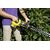ბუჩქის საკრეჭი აკუმულატორის Karcher HGE 36-60 36V