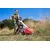 Petrol mower AL-KO BM 875 III 2400W