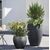 ეზოს პლასტმასის ქოთანი Scheurich 282/48 PLANTER LINEO SCHWARZ GRANIT
