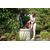 Pump AL-KO Drain 7500 Classic 450W (112822)