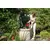Pump AL-KO Drain 7500 Classic 450W (112822)