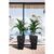 Flowerpot FORM PLASTIC Diva Slim square 40 deep black 4680-084