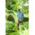 Trimmer rechargeable Ryobi ONE+ OLT1832 18V