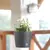 Flower pot Prosperplast RATO-anthracite DRTW260-S433 26 cm