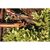 Landing cone Fiskars Solid 1057080