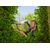 Garden shears Gardena NatureCut 12300-20 23 cm