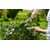 Garden shears Gardena NatureCut 12300-20 23 cm